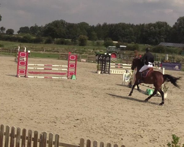 Reitturnier Schülp / Rendsburg 2018