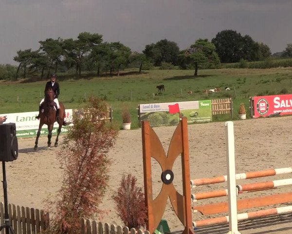 Reitturnier Schülp / Rendsburg 2018