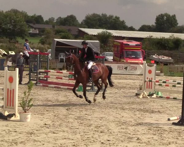 Reitturnier Schülp / Rendsburg 2018