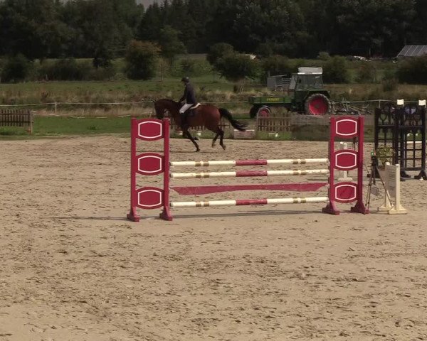 Reitturnier Schülp / Rendsburg 2018