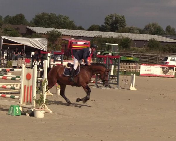 Reitturnier Schülp / Rendsburg 2018
