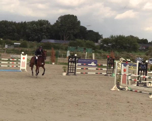 Reitturnier Schülp / Rendsburg 2018