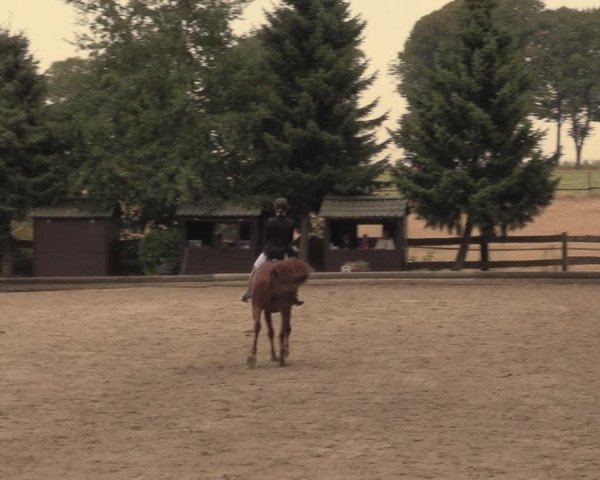 Reitturnier Datteln 2018