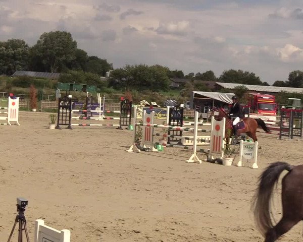 Reitturnier Schülp / Rendsburg 2018
