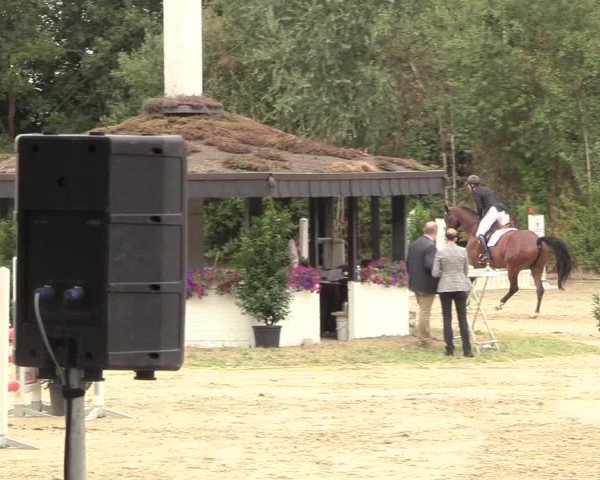 Reitturnier Datteln 2018