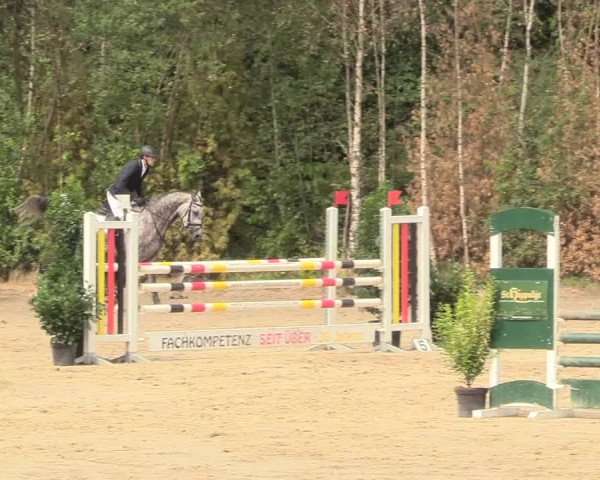 Reitturnier Datteln 2018