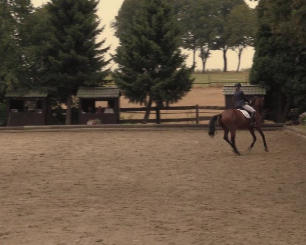 Reitturnier Datteln 2018