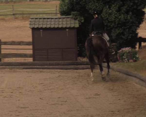 Reitturnier Datteln 2018