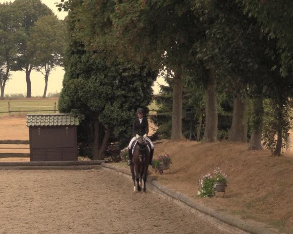 Reitturnier Datteln 2018
