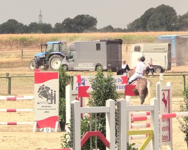 Reitturnier Datteln 2018