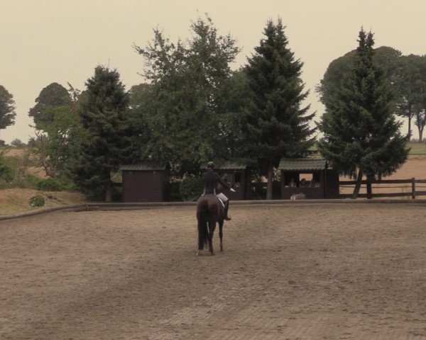 Reitturnier Datteln 2018