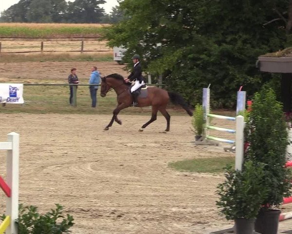 Reitturnier Datteln 2018