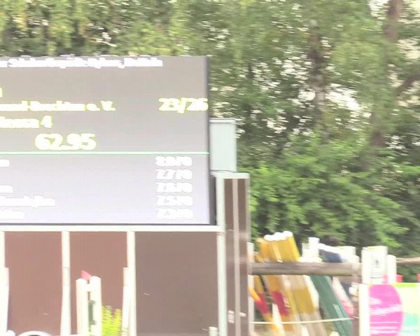 Reitturnier Datteln 2018