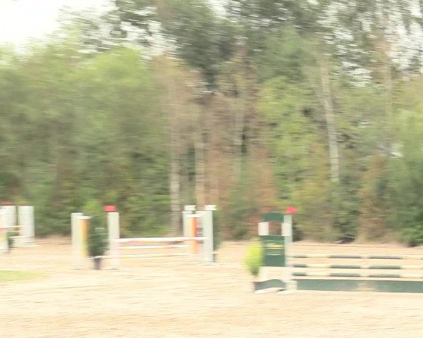 Reitturnier Datteln 2018