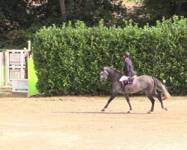Reitturnier Datteln 2018