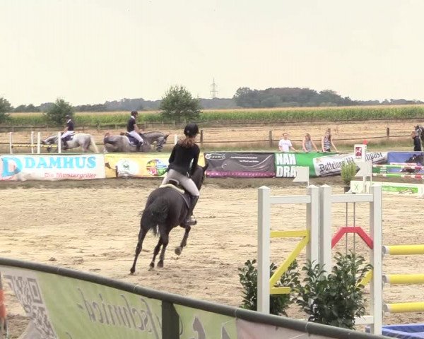 Reitturnier Datteln 2018