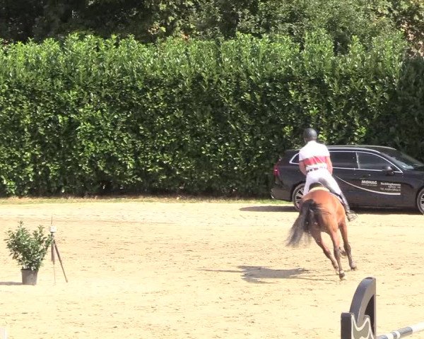 Reitturnier Datteln 2018