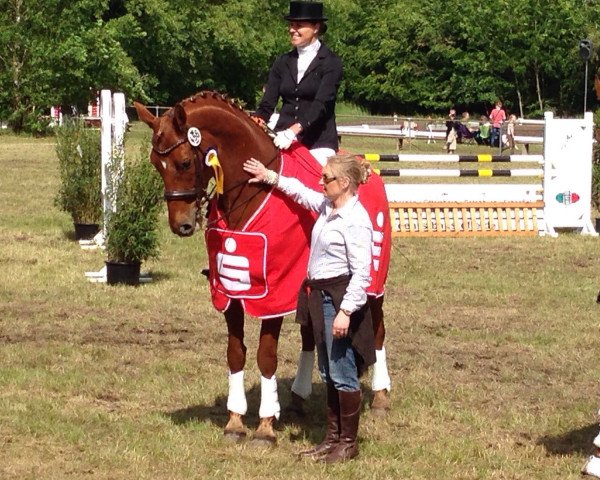 dressage horse Don Henley 2 (Oldenburg, 2006, from Don Kennedy)