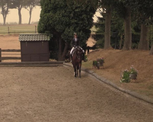 Reitturnier Datteln 2018