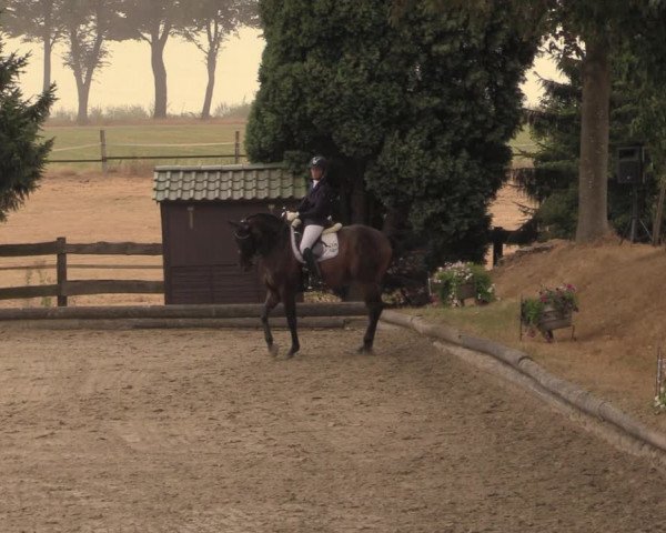 Reitturnier Datteln 2018