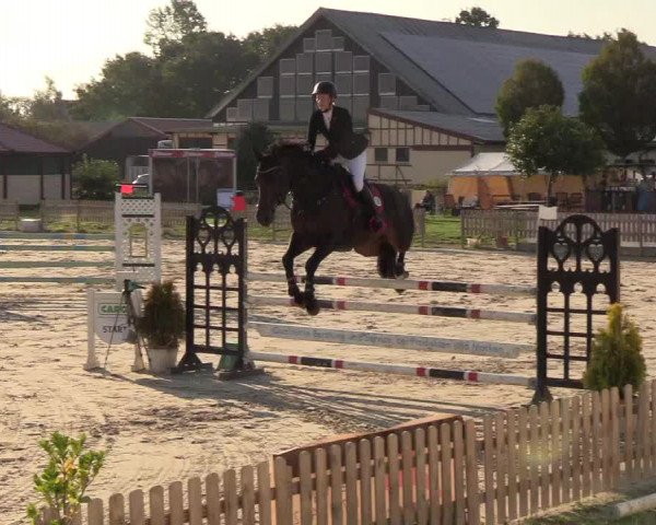 Reitturnier Schülp / Rendsburg 2018