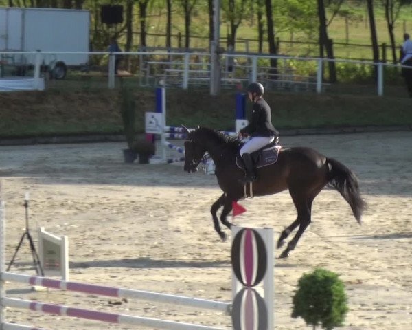 Bergisch Classics - Hebborner Hof 2018