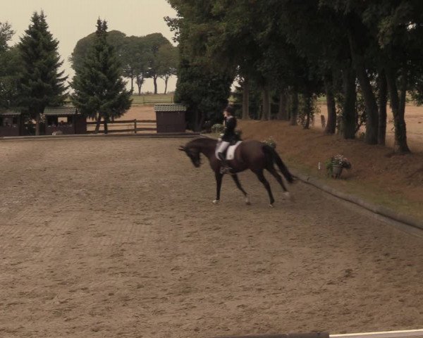 Reitturnier Datteln 2018
