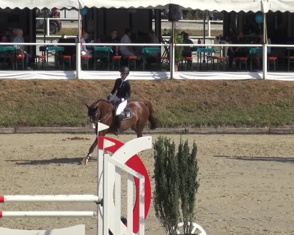 Bergisch Classics - Hebborner Hof 2018