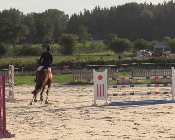 Reitturnier Schülp / Rendsburg 2018