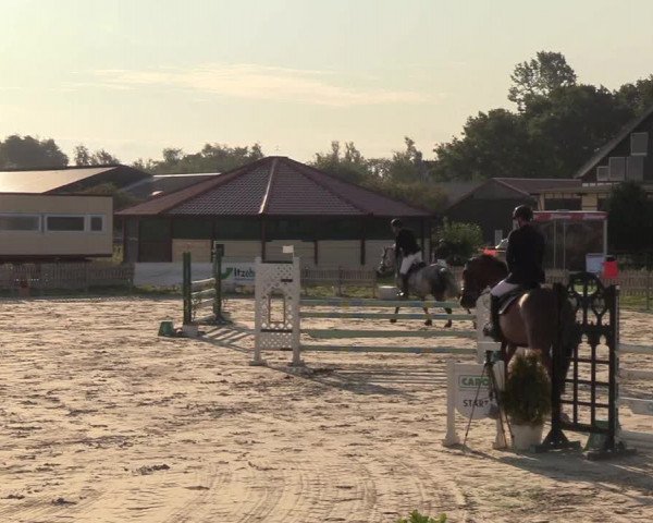 Reitturnier Schülp / Rendsburg 2018