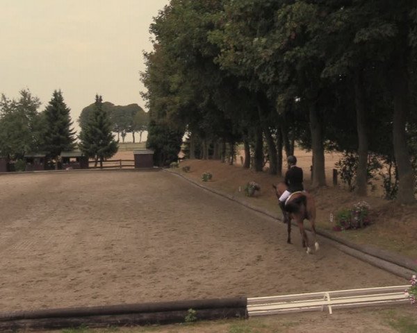 Reitturnier Datteln 2018