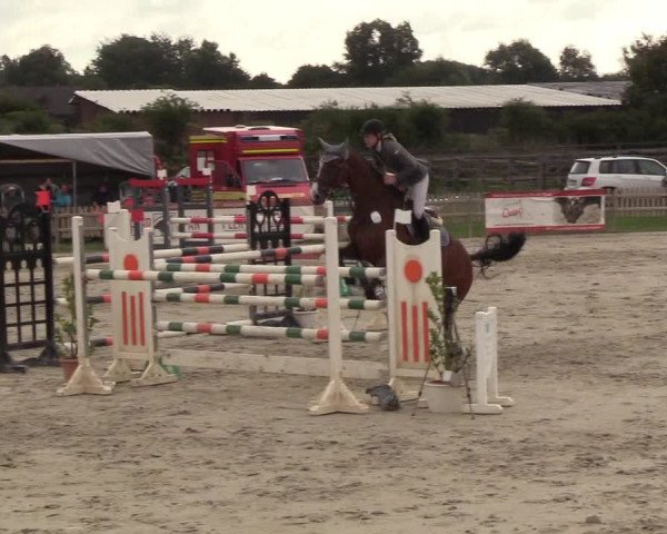 Reitturnier Schülp / Rendsburg 2018