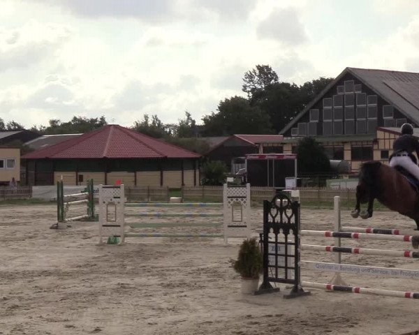 Reitturnier Schülp / Rendsburg 2018