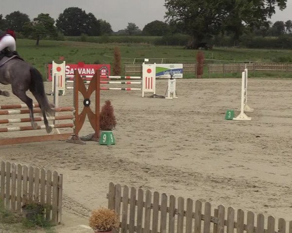 Reitturnier Schülp / Rendsburg 2018