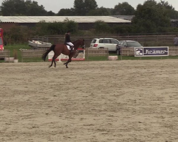 Reitturnier Schülp / Rendsburg 2018