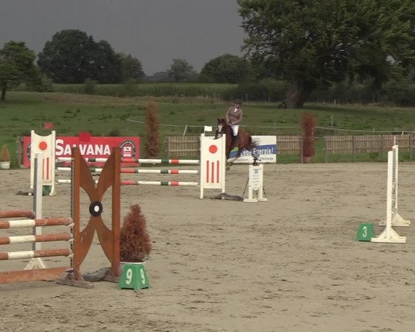 Reitturnier Schülp / Rendsburg 2018