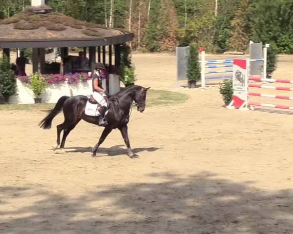 Reitturnier Datteln 2018