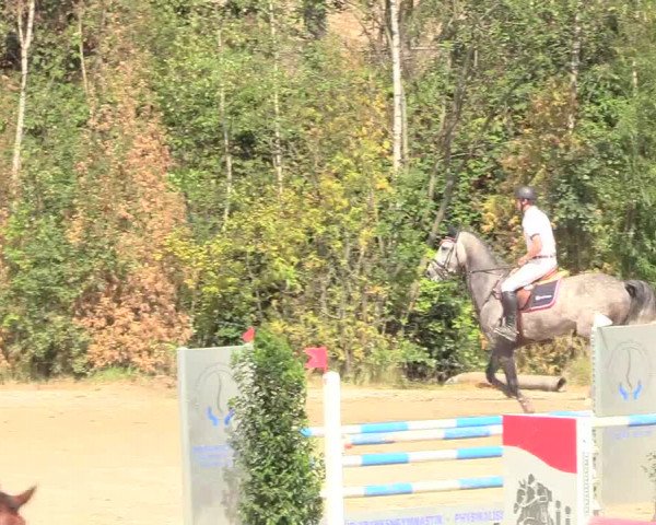 Reitturnier Datteln 2018