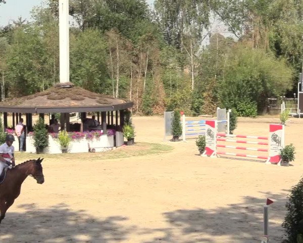 Reitturnier Datteln 2018