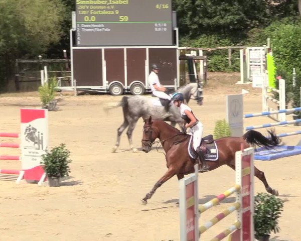 Reitturnier Datteln 2018