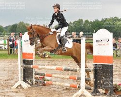 dressage horse Piccadilly 49 (German Riding Pony, 1998, from Molenhorn's Pasja)