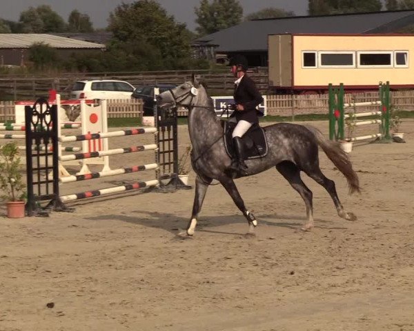 Reitturnier Schülp / Rendsburg 2018