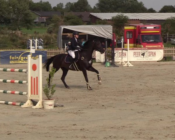 Reitturnier Schülp / Rendsburg 2018