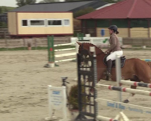 Reitturnier Schülp / Rendsburg 2018