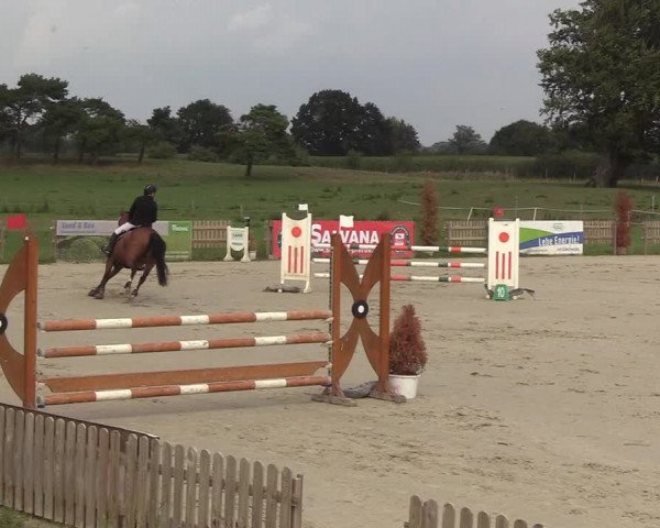 Reitturnier Schülp / Rendsburg 2018