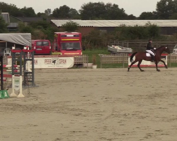 Reitturnier Schülp / Rendsburg 2018
