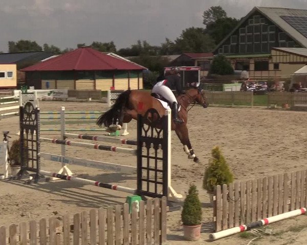 Reitturnier Schülp / Rendsburg 2018