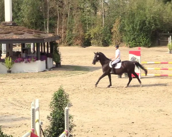 Reitturnier Datteln 2018