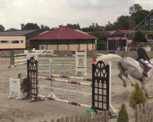 Reitturnier Schülp / Rendsburg 2018