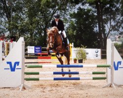 dressage horse Arvalon Ricadonna (Welsh-Cob (Sek. C), 2008, from Synod Roxbury)